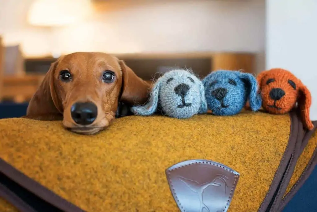 Traumhund Jagddeckerl Loden Traumhund Jagddeckerl Loden